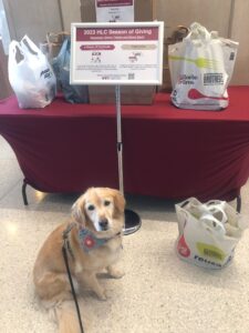 HLC Season of Giving - Food Drive photo with Sophie, the therapy dog at the Countway Library
